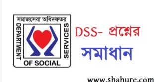 DSS logo