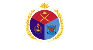 CGDF job logo